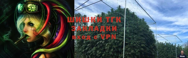 дживик Осташков