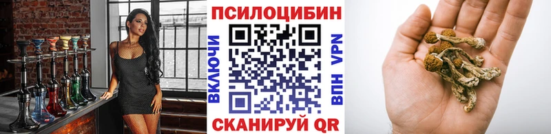 маркетплейс формула  Чкаловск  Псилоцибиновые грибы мицелий 